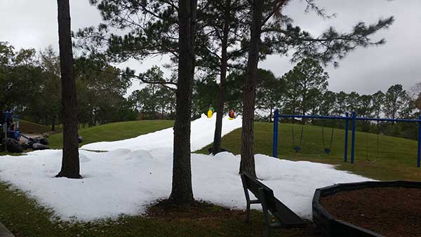 HOA Snow Party in Houston