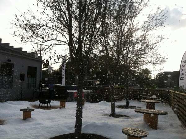 Large Scale Snow Projects