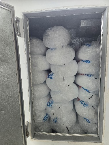 Ice in Home Fridge